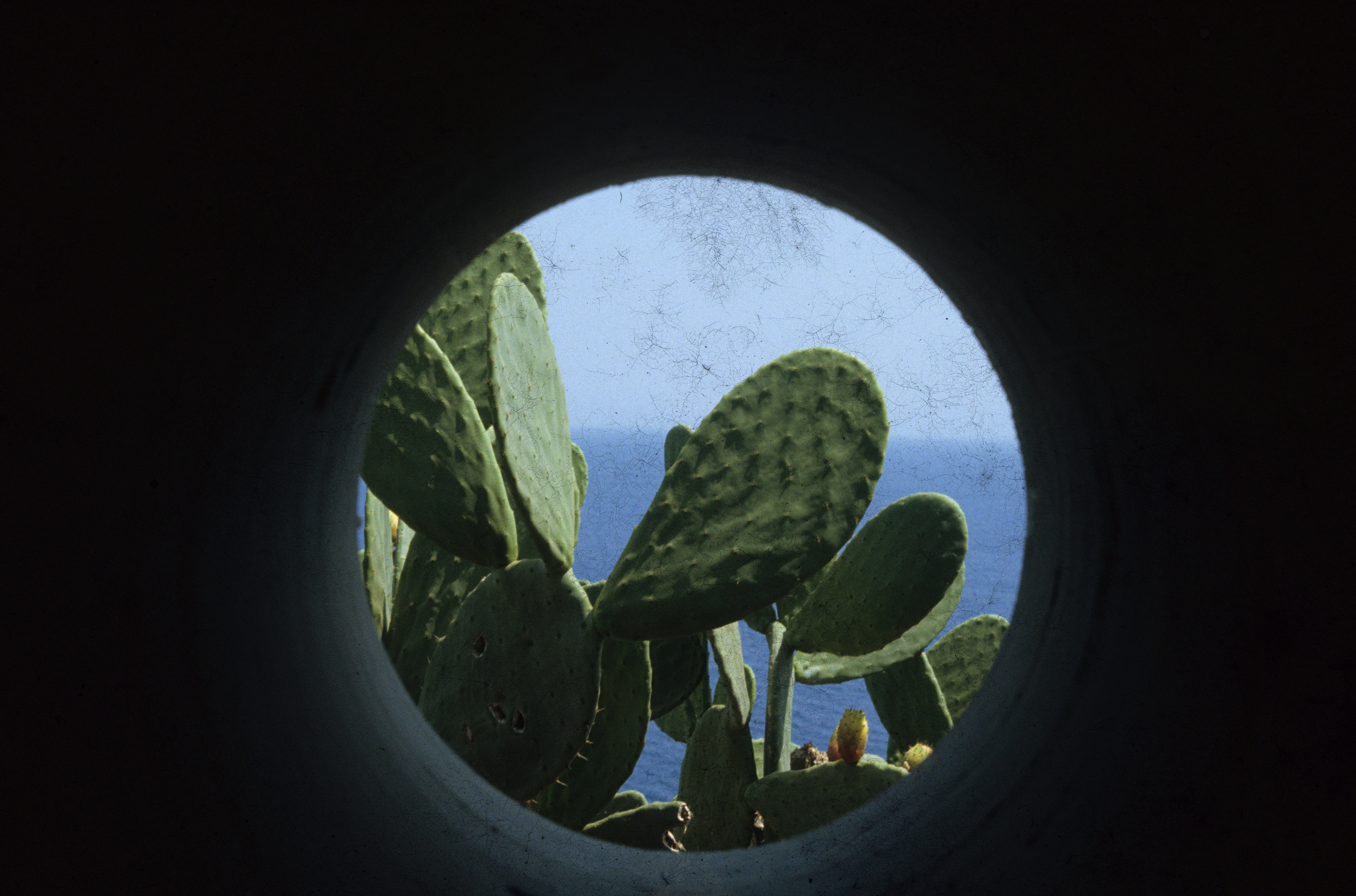 sanchotrotztgegenwind.blog